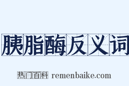 胰脂酶反义词是什么意思的图片